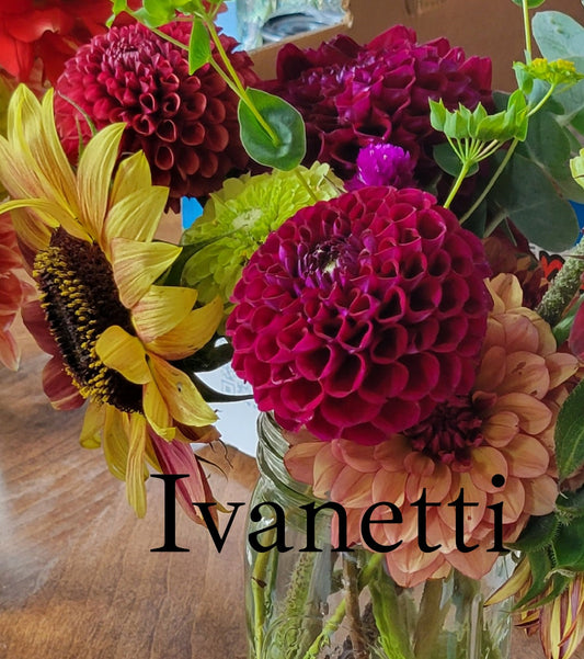 Ivanetti