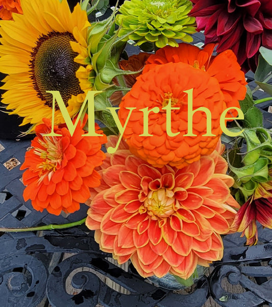 Myrthe